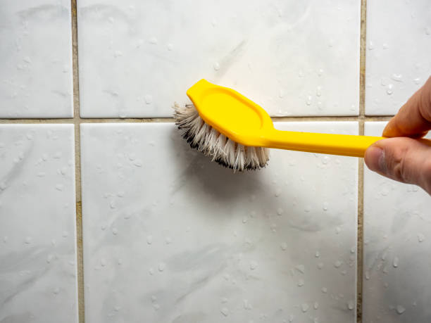 Best Attic Mold Removal  in Riva, MD